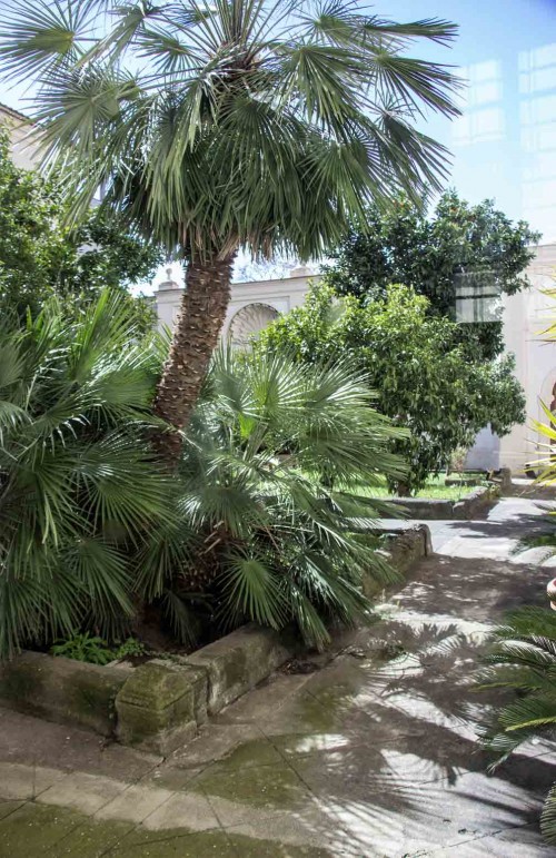 Church of San Carlo alle Quattro Fontane, small monastery viridary