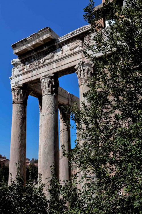 Columns of the portico of the temple of Faustina and Antoninus Pius, presently the Church of San Lorenzo in Miranda