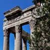 Columns of the portico of the temple of Faustina and Antoninus Pius, presently the Church of San Lorenzo in Miranda