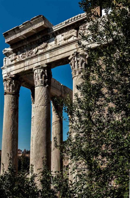 Curch of San Lorenzo in Miranda, remains of the Temple of Antoninus Pius and Faustina