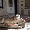 Ambulatory of the Church of San Marco, one of the lions guarding the church enterance