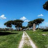 The ancient via Latina, currently in Parco delle Tombe di via Latina