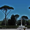 View of the park from the loggia of the cardinal’s casino, Villa Medici