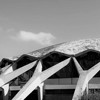 Palazzetto dello Sport, proj. Luigi Nervi