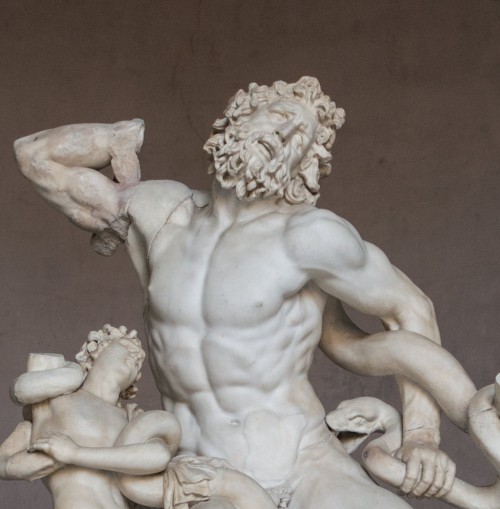 Laocoön and His Sons, fragment, Musei Vaticani