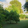 The garden of the Francesca Romana Retirement Home