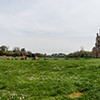 Hippodrome (remains of two towers flanking unpreserved arcades) in the complex of Maxentius' villa on via Appia