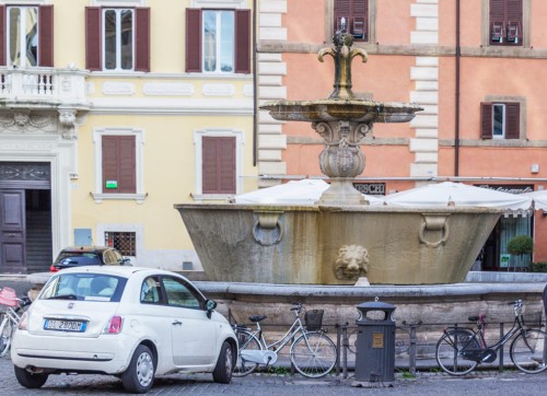 One of the two twin fountains in Piazza Farnese