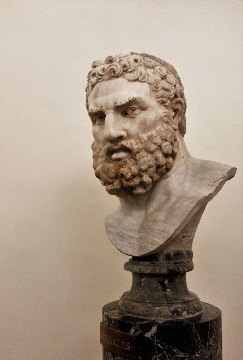 Hercules’s Head, Musei Nazionale, Palazzo Altemps