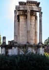 Pozostałości świątyni Westy, Forum Romanum