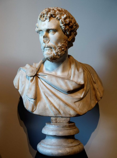 Antoninus Pius, Museo Palatino