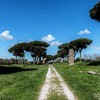 Starożytna via Latina, obecnie w Parco delle Tombe di via Latina