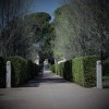 Gardens of the Villa Medici