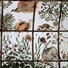 Willa Medici, pawilon Ptaków, dekoracje Jacopo Zucchiego