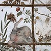 Willa Medici, pawilon Ptaków, dekoracje Jacopo Zucchiego