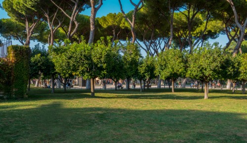 Awentyn, Ogród pomarańczowy (Giardino degli Aranci) koło bazyliki Santa Sabina