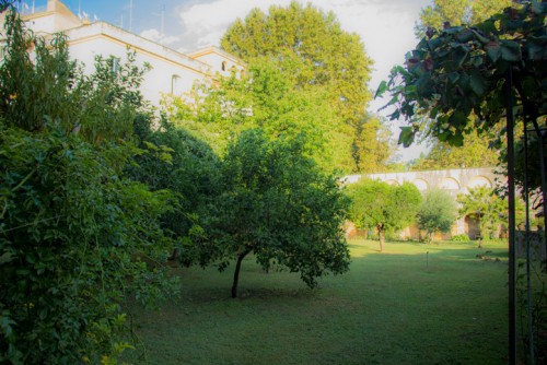 The garden of the Francesca Romana Retirement Home
