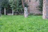 Casina del Cardinal Bessarione (holiday home of Cardinal Bessarion) - antique sculpture in the garden