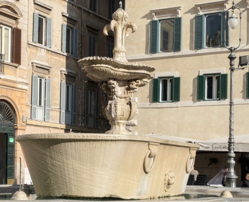 One of the fountains in Piazza Farnese