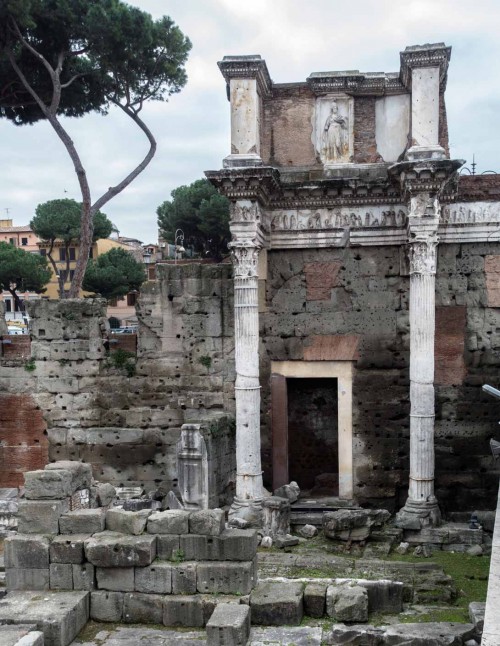 Forum of Nerva, remains of columns surrounding the forum